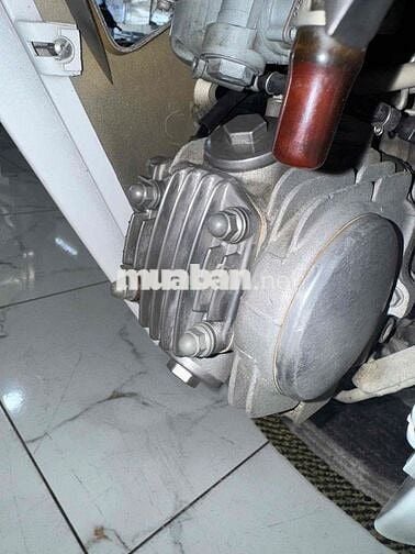 ✅ANPHA 100 2015 ĐẸP ZIN LENG KENG 👍