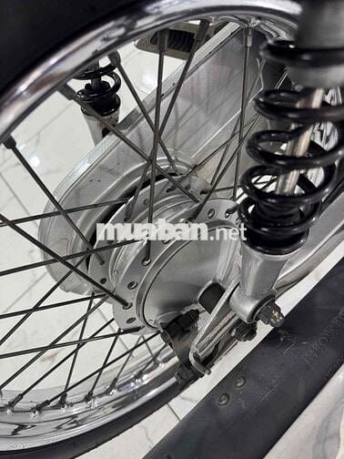 ✅ANPHA 100 2015 ĐẸP ZIN LENG KENG 👍