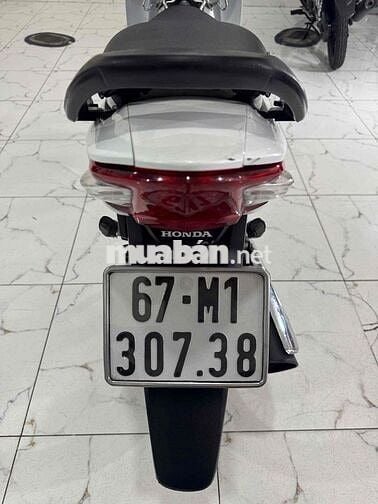 ✅ANPHA 100 2015 ĐẸP ZIN LENG KENG 👍