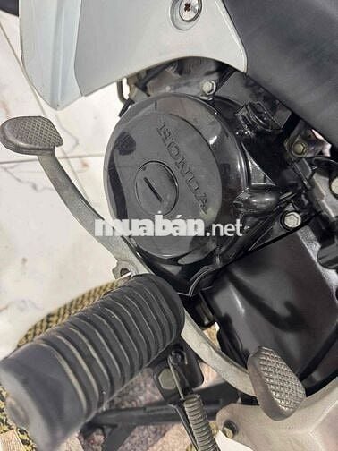 ✅ANPHA 100 2015 ĐẸP ZIN LENG KENG 👍