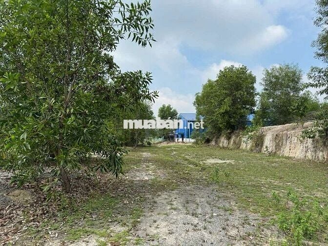 Bán dự Án nhà xưởng mặt tiền tại ĐẤT CUỐC– BẮC TÂN UYÊN nay là TP HCM