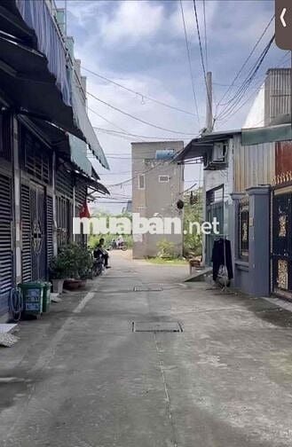 Nhà đẹp 3,3*12m 2PN  hẻm 4m ô tô 2/ ngắn Liên Ấp 123 Vĩnh Lộc B