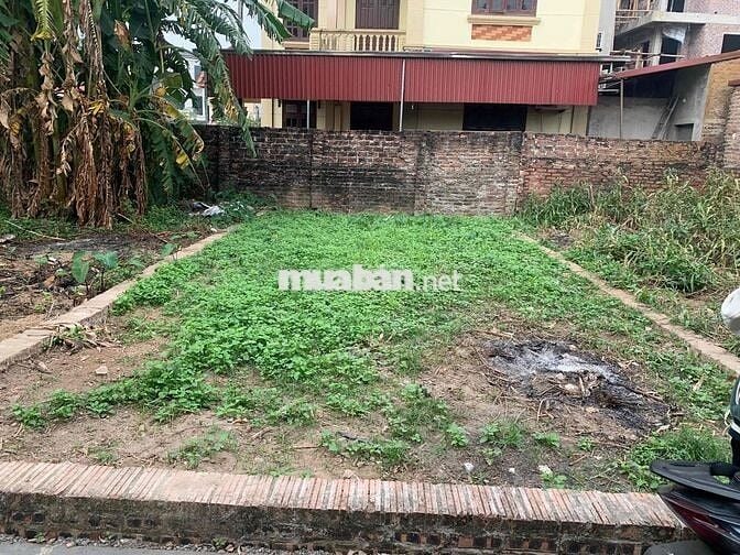 BÁN MẢNH ĐẤT VÀNG THÔN MẠCH LŨNG .GẦN DỰ ÁN CẦU THƯỢNG CÁT