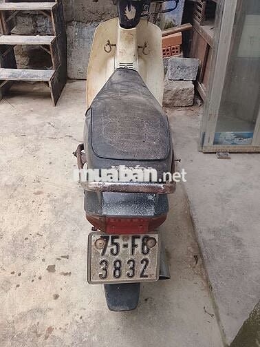 Honda Dream Đen Trắng