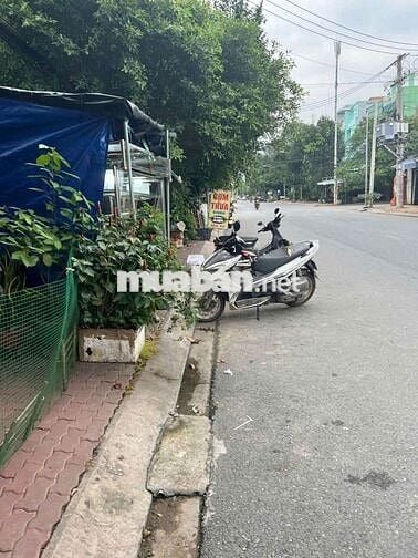 NHÀ 2PN 2WC 4*22 MẶT TIỀN LÊ BÔI TIỆN Ở BUÔN BÁN LÀM VĂN PHÒNG