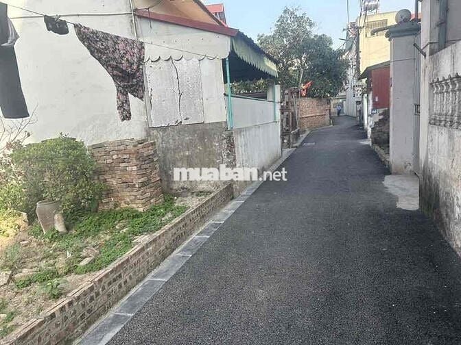 BÁN GẤP ĐẤT ĐÔNG ANH - GIẢM SÂU CHỐT NHANH- Ô TÔ THÔNG THOÁNG