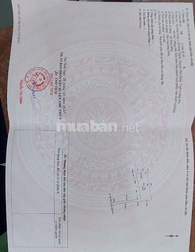 Chính chủ bán đất full thổ cư tại Ấp Bình Cang 2, Xã Thủ Thừa, tỉnh Tâ