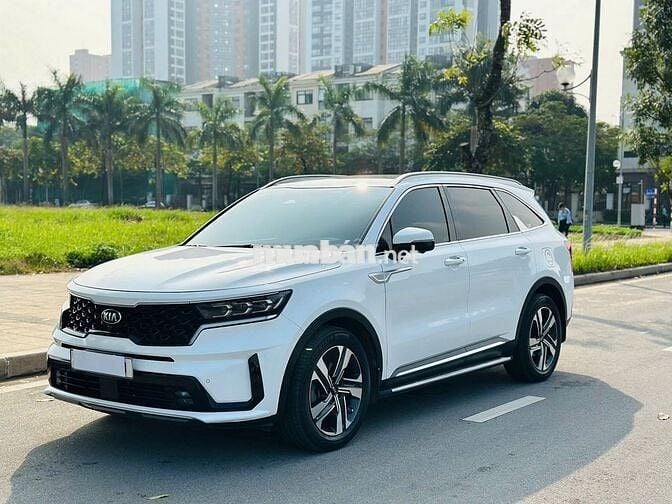 Kia Sorento 2020 Diesel Signature (6 chỗ)