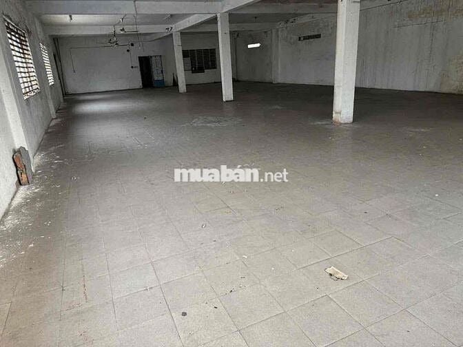 1500m kinh doanh, net, bida, kho, sản xuất giá siêu rẻ