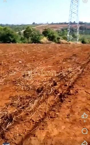 Cho thuê đất vườn DT lớn Giá rẻ ở Chư Pơng, Chư Sê