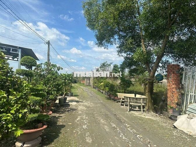 Đất mặt tiền đặng thị thưa Hòa Phú giá 10 triệu m2