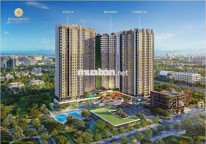 SỞ HỮU CĂN HỘ 1PN – 50m² CHỈ TỪ 400 TRIỆU VỐN TỰ CÓ