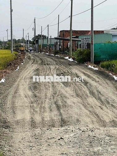 Đất thổ cư, MT đường Ng Thị Tầm, dt 150m2 thổ giá rẻ 550 triêu