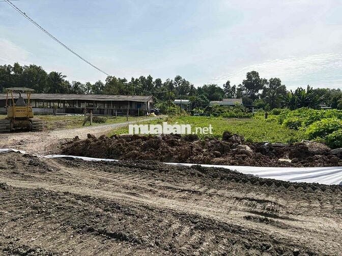 Đất thổ cư, MT đường Ng Thị Tầm, dt 150m2 thổ giá rẻ 550 triêu