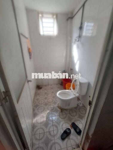 Cho thuê nhà nguyên căn an phú quân 12