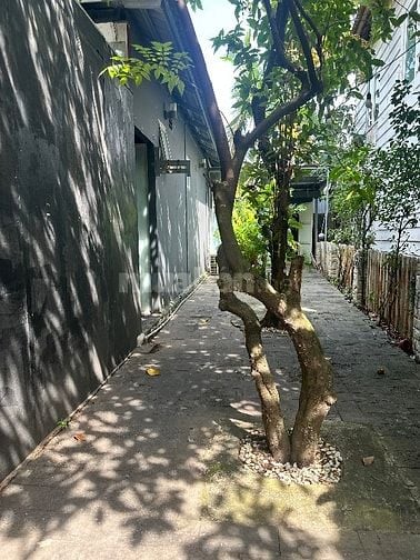 Một không gian xanh - Yên tĩnh - Lý tưởng để lưu trú và làm việc