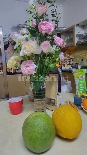 Bán nhà An Phú đường Lương Định Của Q2 gần chợ Bình Khánh 100m2