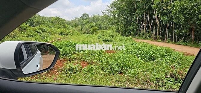 Kẹt tiền cần bán 5 lô sau lưng ủy ban, đối diên KDC Đào Gia Viên