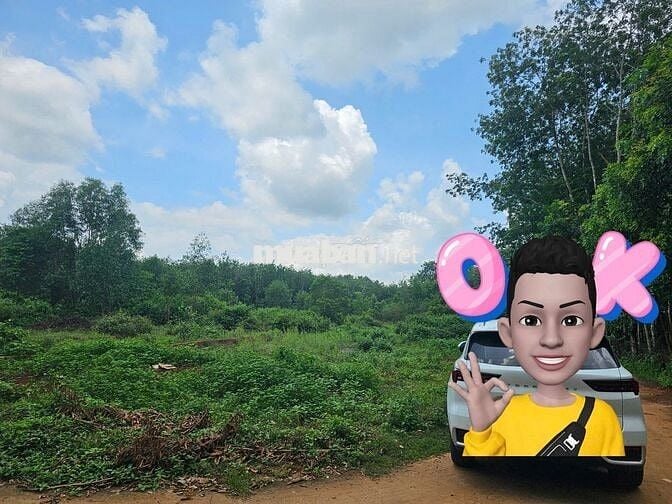 Kẹt tiền cần bán 5 lô sau lưng ủy ban, đối diên KDC Đào Gia Viên