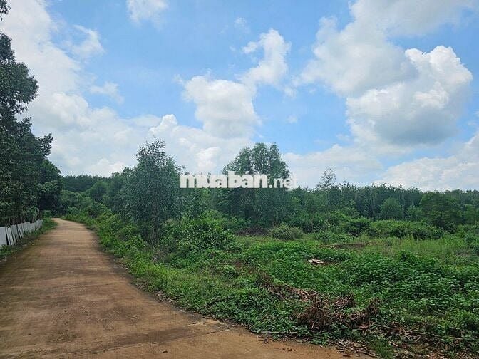 Kẹt tiền cần bán 5 lô sau lưng ủy ban, đối diên KDC Đào Gia Viên