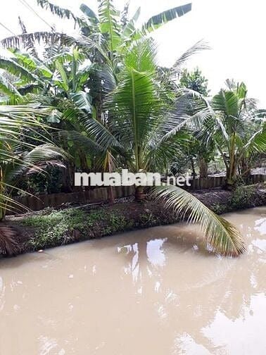 Nhà vườn 4000m2, vềTrung tâm Cần Thơ 30p, đường tỉnh 928, Giá 3.5 tỷ