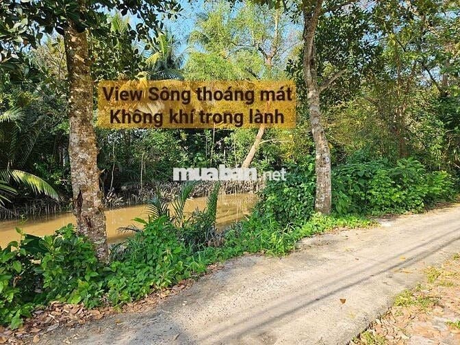 BÁN NHÀ ĐẤT VIEW SÔNG 254,1M² GẦN CẦU BA LÁNG QL61C, CÁI RĂNG, CẦN THƠ