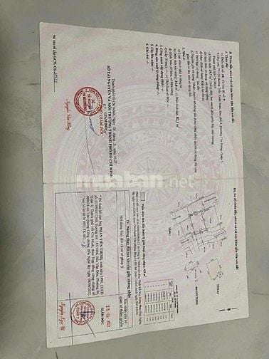 Nhà phố bà lầu đường Trần Xuân soạn quận 7 