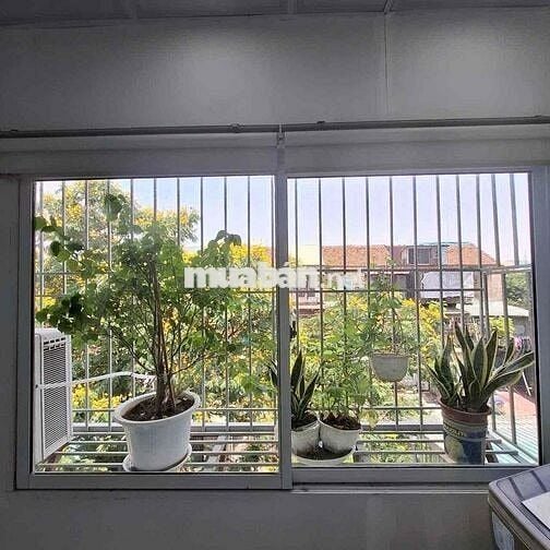 Siêu hiếm . Chỉ 1.2 tỷ có ngay căn hộ tt full nthat gần Bách Kinh xây