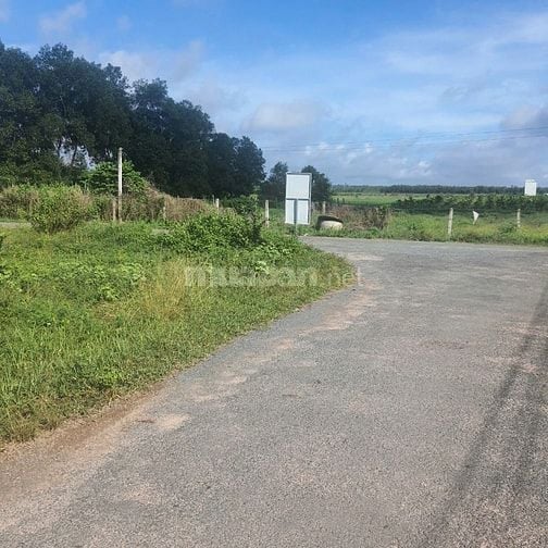 Công ty Đấu giá hợp danh Lam Sơn Sài Gòn THÔNG BÁO ĐẤU GIÁ TÀI SẢN