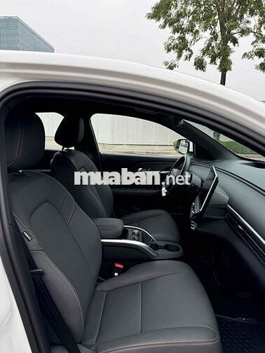 VinFast VF6 PLUS MUA PIN