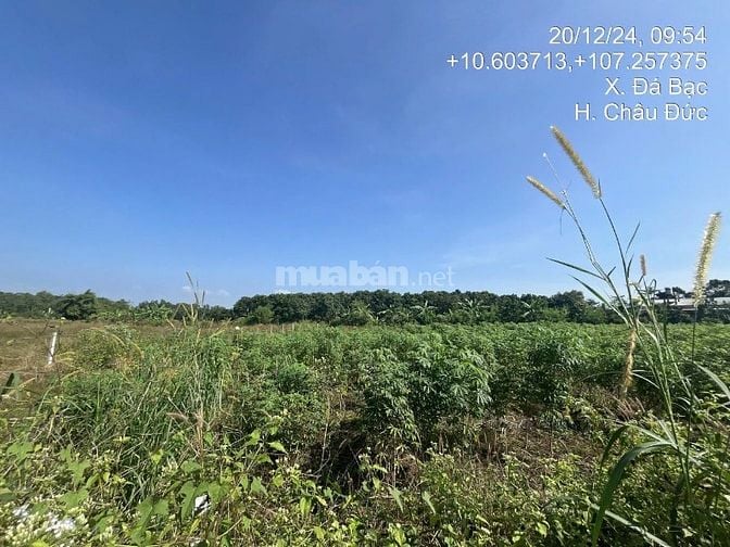 Công ty Đấu giá hợp danh Lam Sơn Sài Gòn THÔNG BÁO ĐẤU GIÁ TÀI SẢN