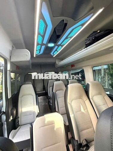 Ford Transit Premium 2025 16 chỗ
