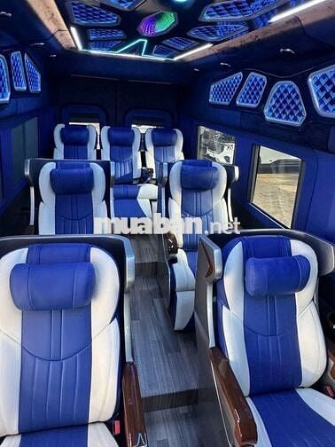 Ford Transit Limousine 10-12 chỗ Mới 100%