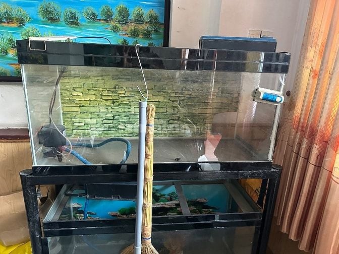 Cho hồ cá cảnh 2 tầng đã qua sử dụng