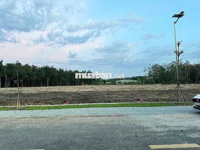 cần bán lô đất phú giáo tp Hồ Chí Minh . diện tích 5x60(100 tho cư)