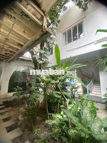 🏠 Hiếm! Villa Sân Vườn Phan Kế Bính – Khai Thác Mọi Mô Hình Cao Cấp