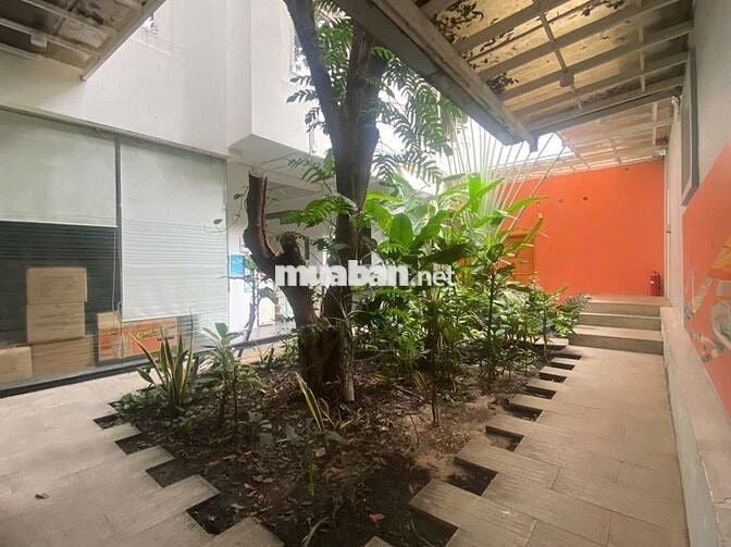 🏠 Hiếm! Villa Sân Vườn Phan Kế Bính – Khai Thác Mọi Mô Hình Cao Cấp