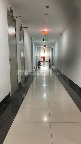 Tôi cần bán CHCC Ecohome Đông Ngạc. Sổ đỏ 56m2: 2PN, 1VS. 3,9ty( bớt )