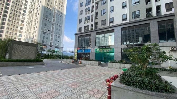 Tôi cần bán CHCC Ecohome Đông Ngạc. Sổ đỏ 56m2: 2PN, 1VS. 3,9ty( bớt )