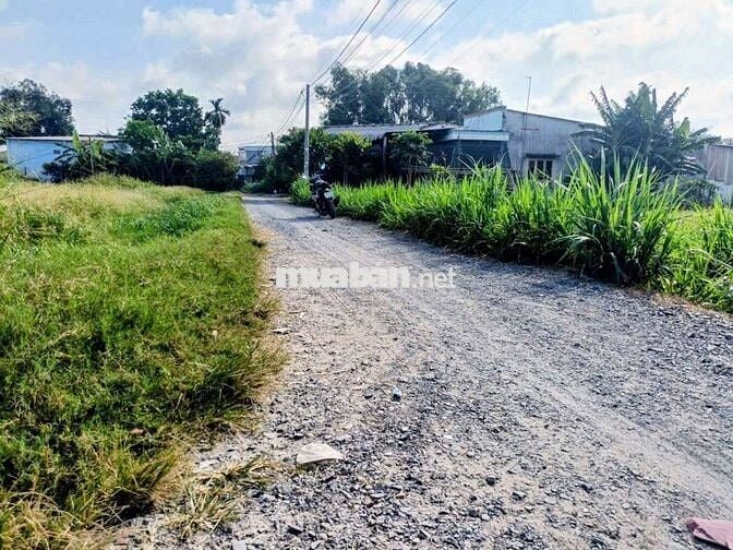 Đất thổ cư 1/Trần Thị Cẩm-Tân Phú Trung-Củ Chi.Dt 38x13~393m2~2,75ty