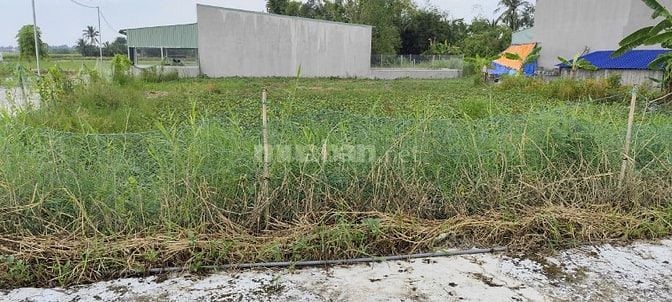 Cần tiền bán gấp lô đất 2 mặt tiền tại xã Phước Vân, Cần Đước, Long An