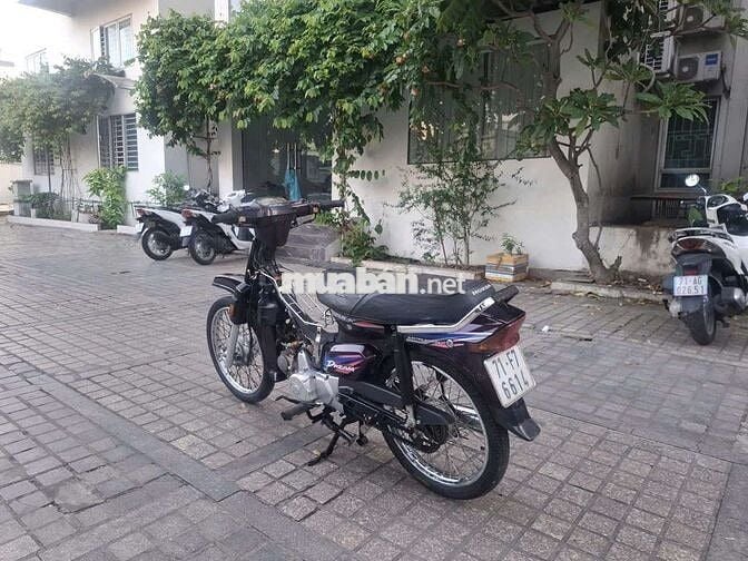 Xe dream Hàn Quốc