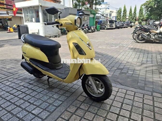 Xe alizabet nguyên gin