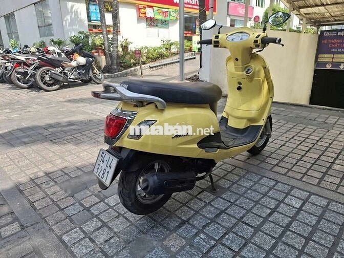 Xe alizabet nguyên gin