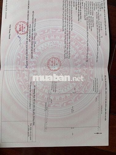 BÁN ĐẤT TRỒNG CÂY CAO SU LÂU NĂM