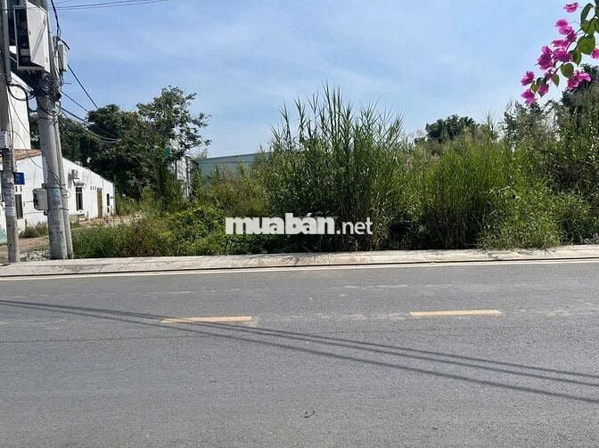 Bán Gốc 2 Mặt tiền đường Đào Sư Tích