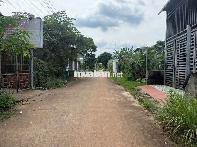 Loaloa nợ quá rồi cắt lỗ 500t mua 1,96ty bán 1,46tỷ sátkhu công nghiệp