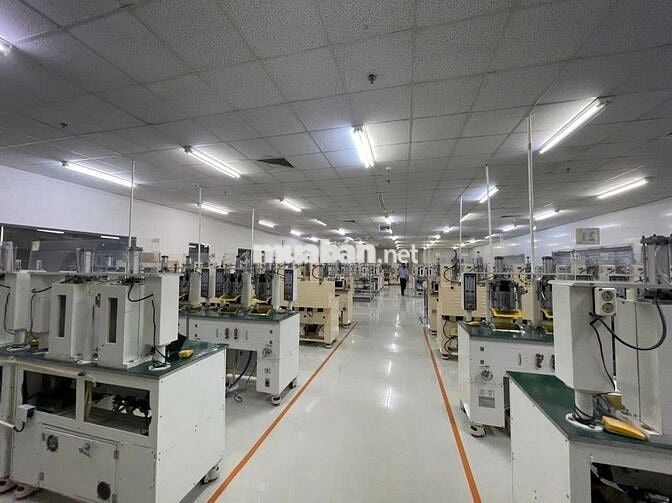 Cho Thuê 1.300m2 Nhà Xưởng Mới Trong KCN Mỹ Phước Bến Cát Bình Dương