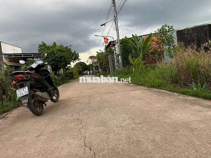 Loaloa nợ quá rồi cắt lỗ 500t mua 1,96ty bán 1,46tỷ sátkhu công nghiệp