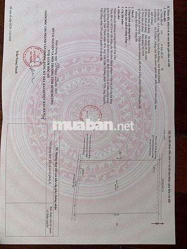 BÁN ĐẤT TRỒNG CÂY CAO SU LÂU NĂM